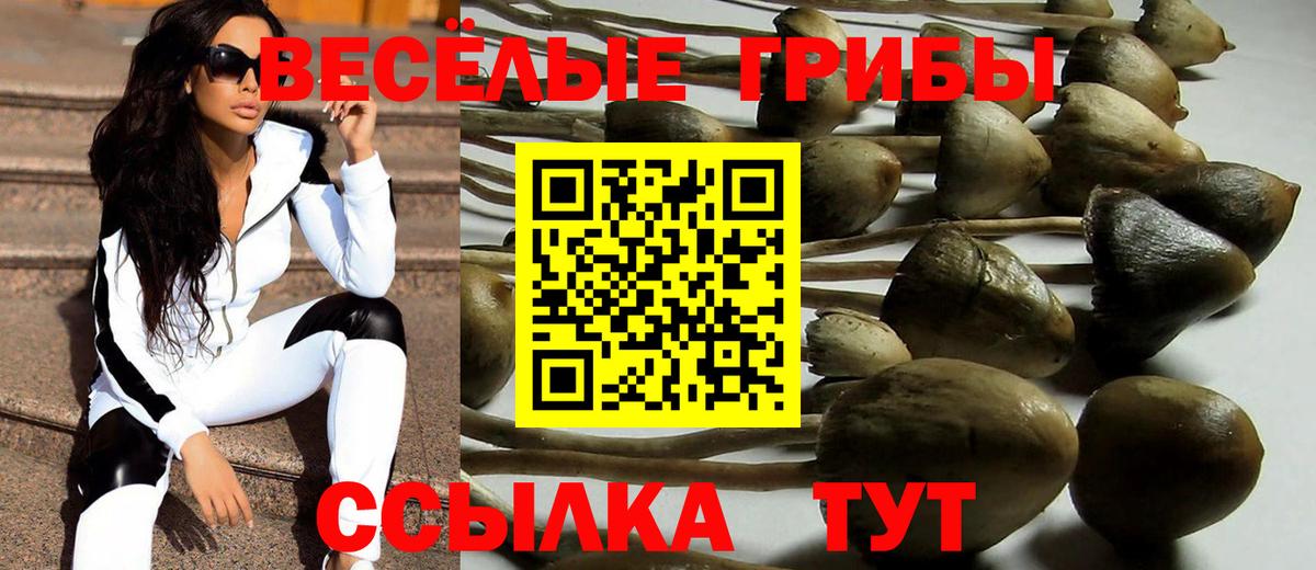 Новодвинск  Псилоцибиновые грибы Psilocybine cubensis  Вход с VPN 